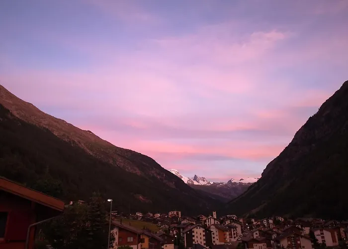 Petit Paradisli